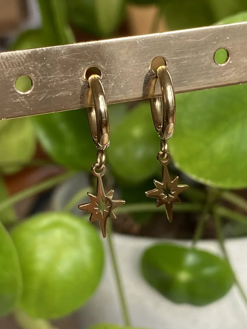 Mini créoles Star (dorées ou argentées)