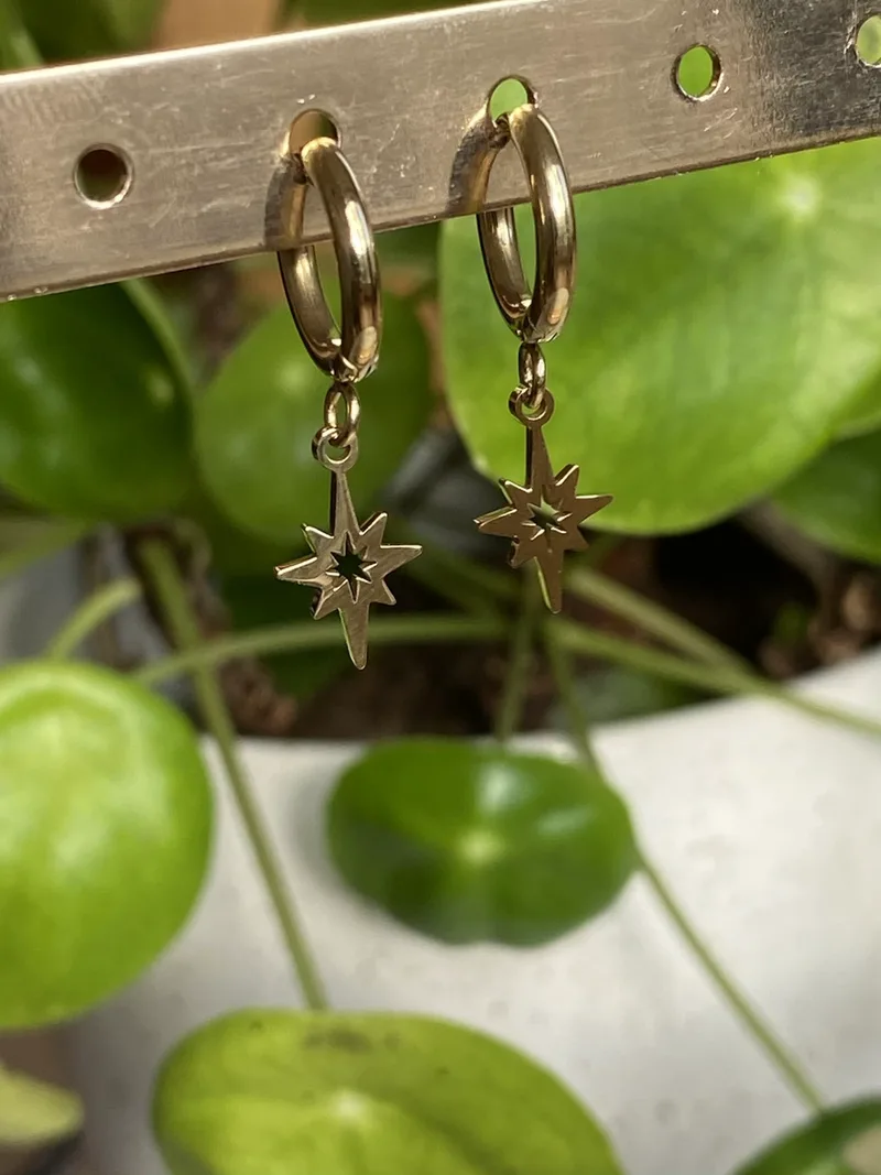 Mini créoles Star (dorées ou argentées)